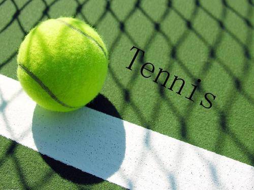 不仅参与了 不仅参与了