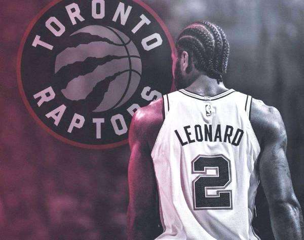 或新派佳美 或新派佳美