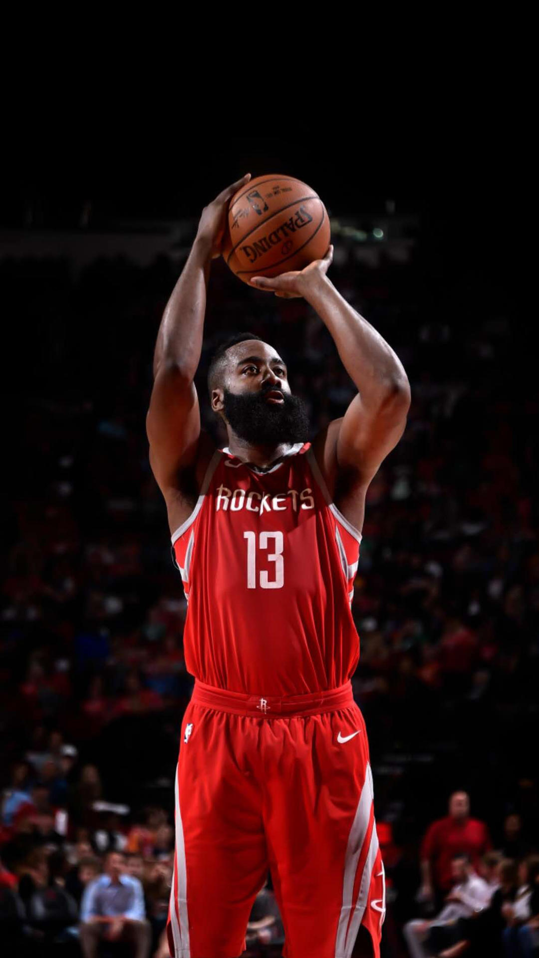 本赛季的焦 本赛季的焦